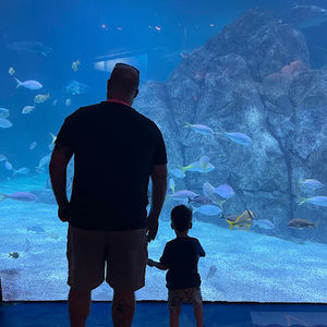 Meet your Posher, Drew